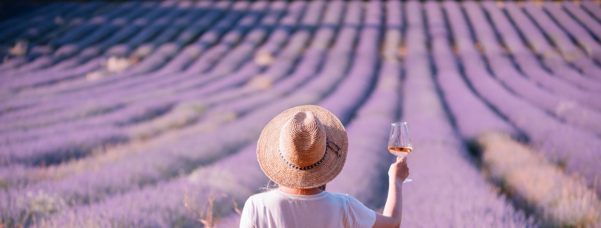 provence