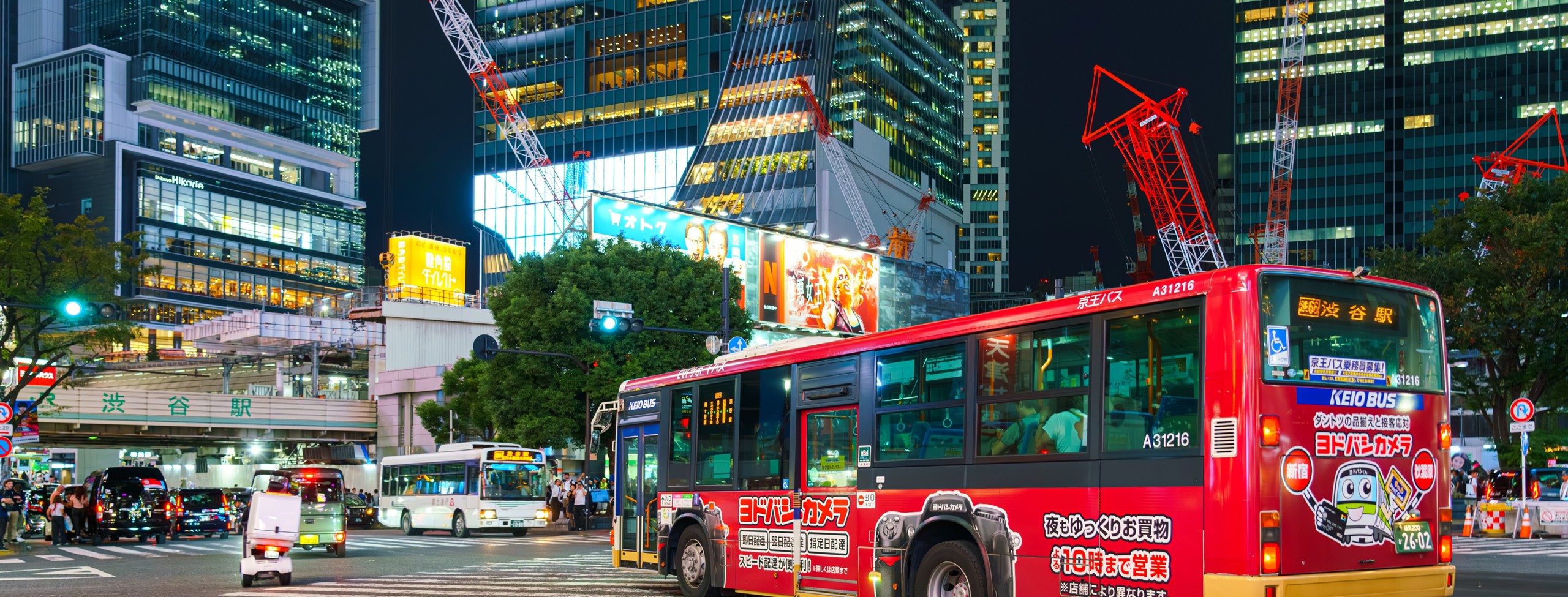 F�YAT B�LG�S� - Japonya Sakura R�yas�: Japonya Bahar Turu