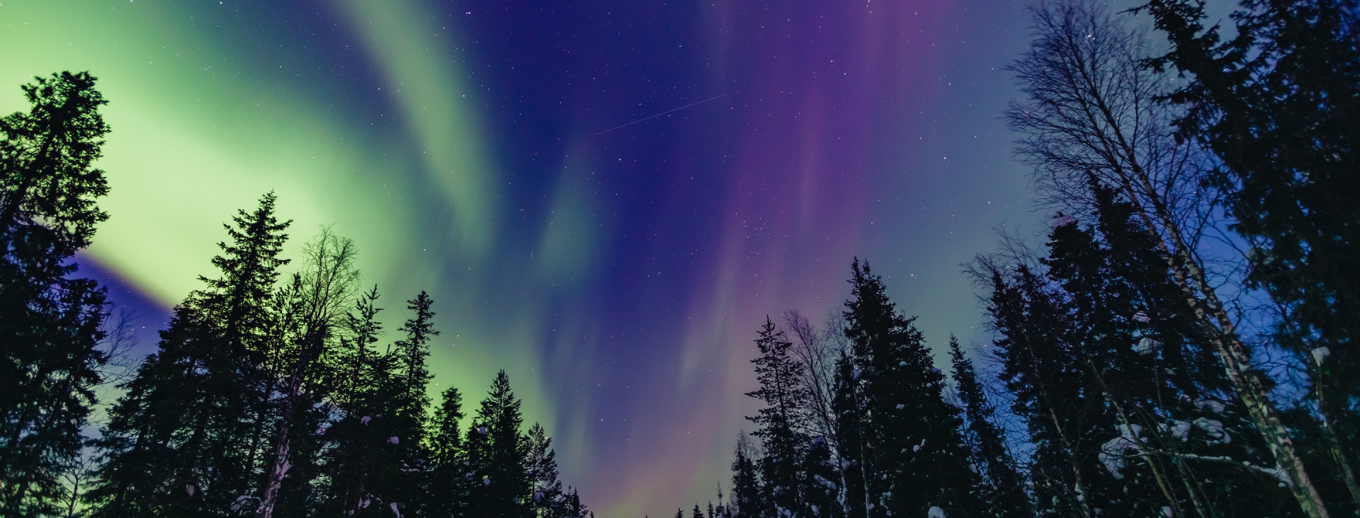 Kutup Masal�: Premium Lapland