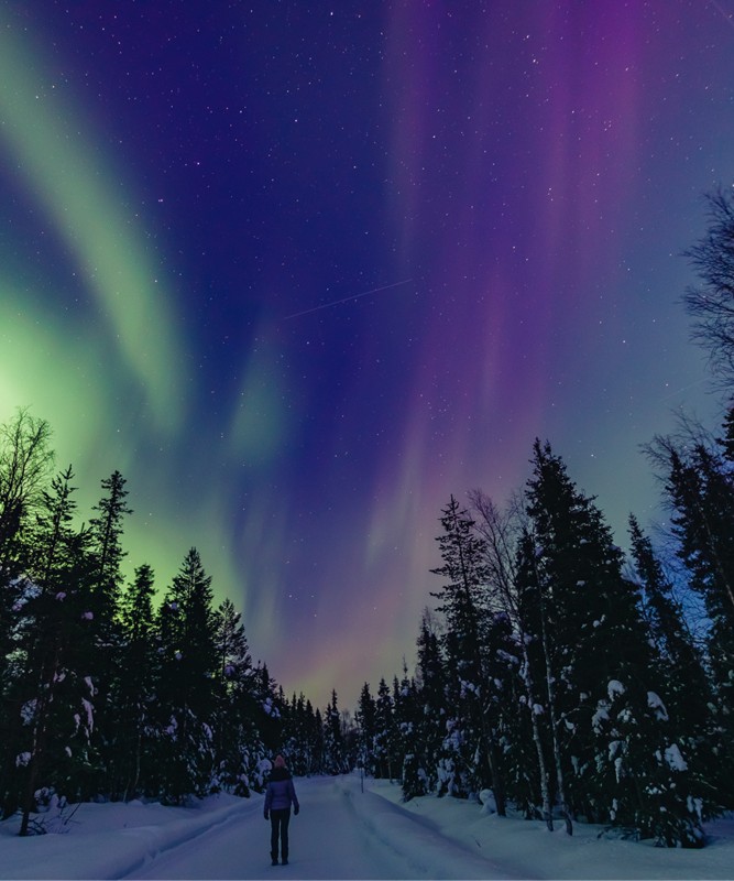 Kutup Masal�: Premium Lapland