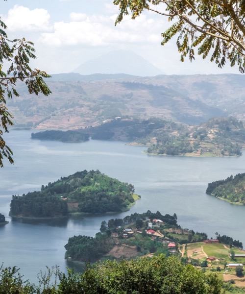 Gm Srtl Gorillerin zinde Ruanda & Uganda - SON 2 K