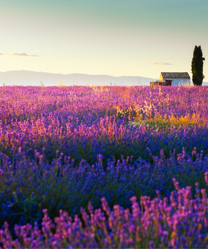 Gney Fransa: Riviera & Provence Kefi Turu