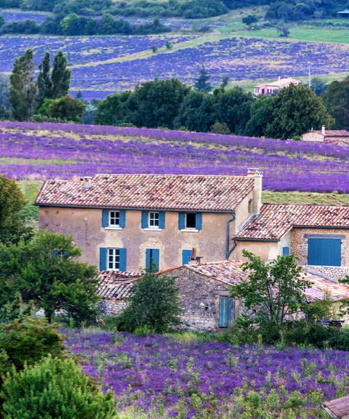 Romantik Fransa Cote D'Azur & Provence 