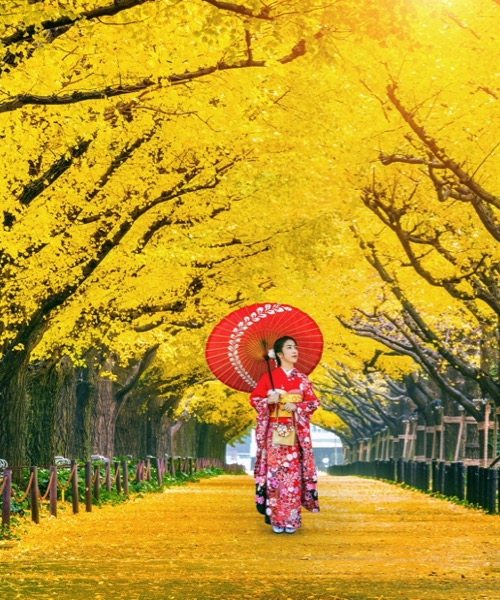 Sonbaharn Muhteem Renkleri ile Koyo Zaman Japonya