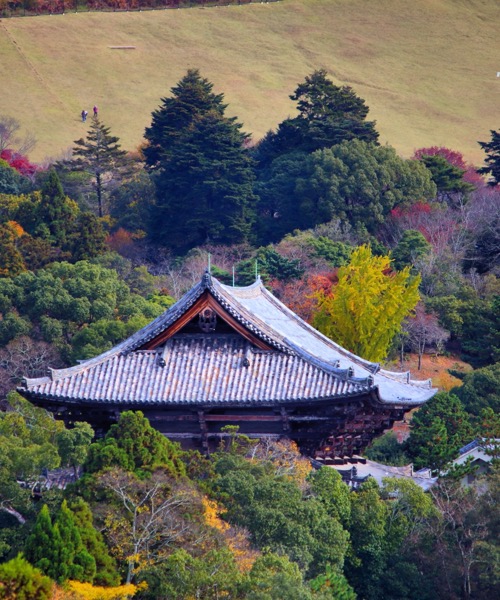 Sonbaharn Muhteem Renkleri ile Koyo Zaman Japonya