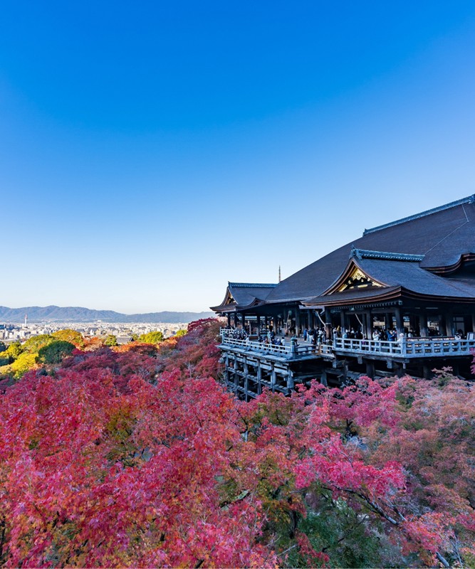 Bayramda Japonya�n�n B�y�l� D�nyas�
