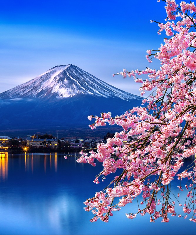 Bayramda Sakura Zaman� Kore ve Japonya