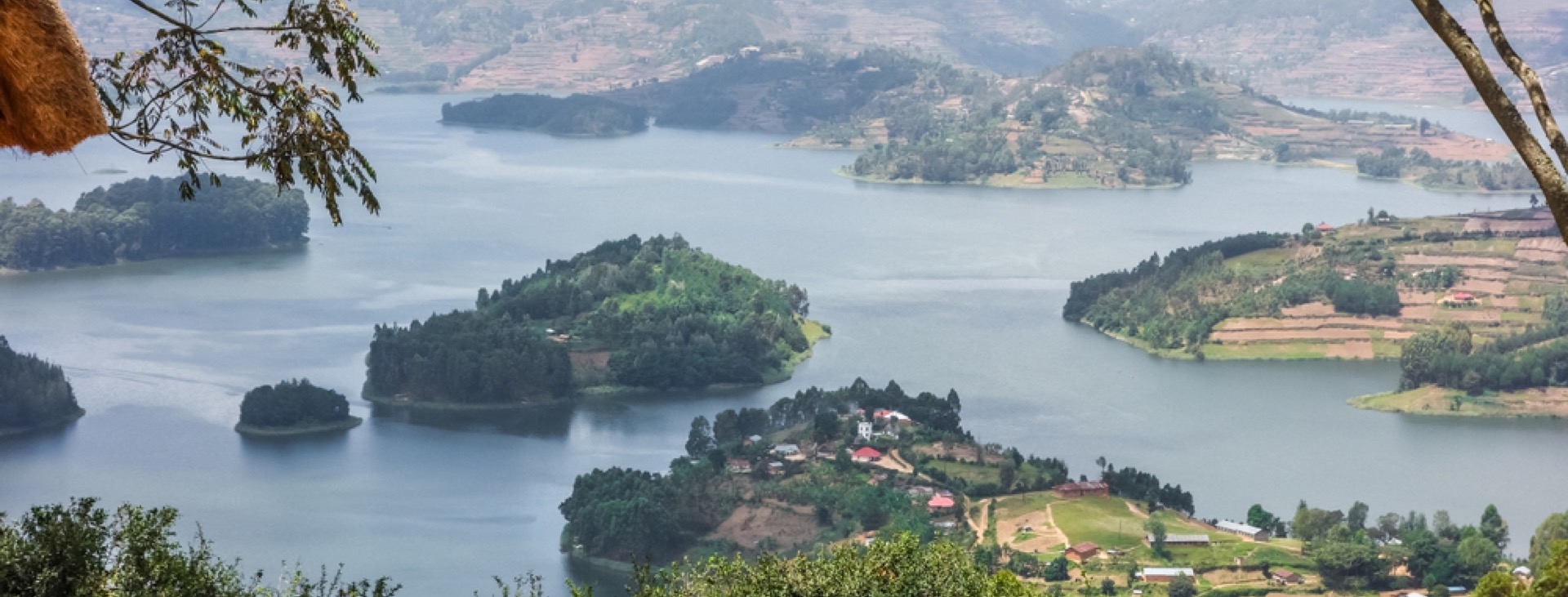 Gm Srtl Gorillerin zinde Ruanda & Uganda - SON 2 K