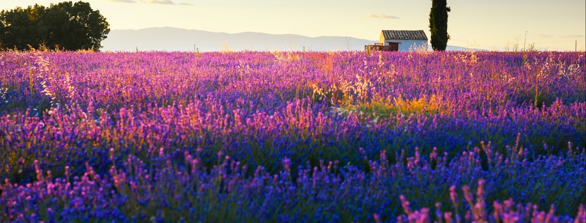 Gney Fransa: Riviera & Provence Kefi Turu