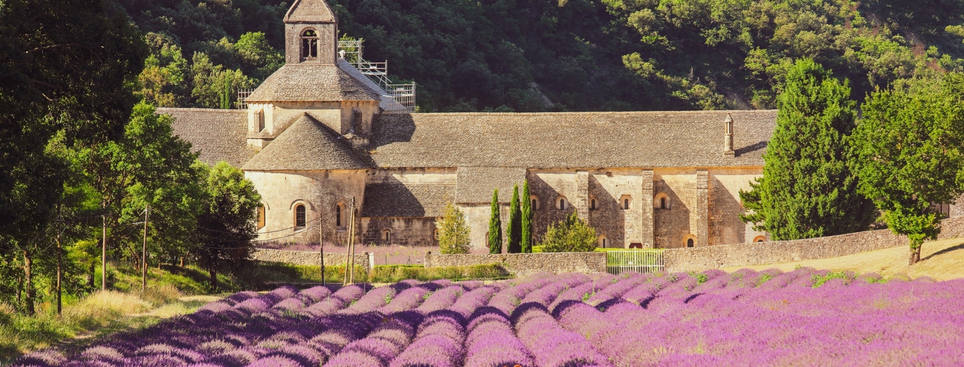 Lavanta Mevsiminde Provence & Rhone Vadisi