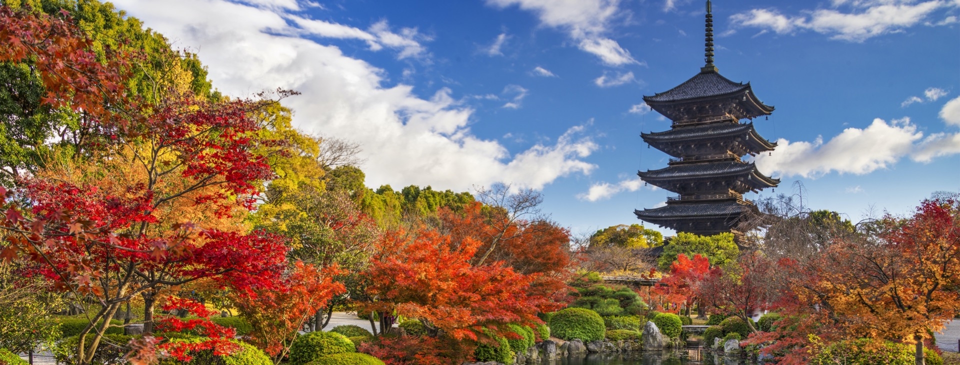 Sonbaharn Muhteem Renkleri ile Koyo Zaman Japonya