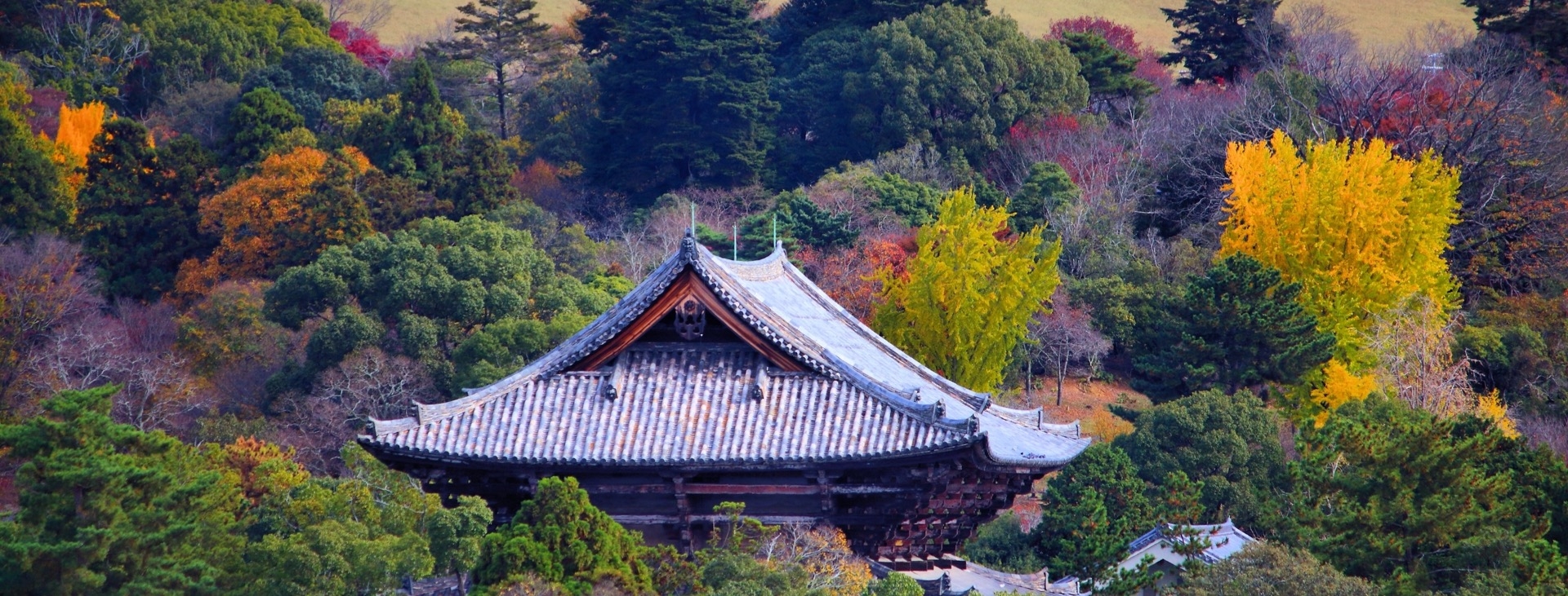 Sonbaharn Muhteem Renkleri ile Koyo Zaman Japonya