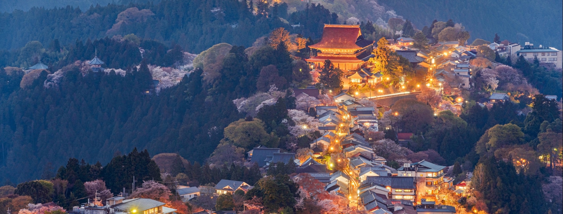 Bayramda Sakura Zaman� Kore ve Japonya