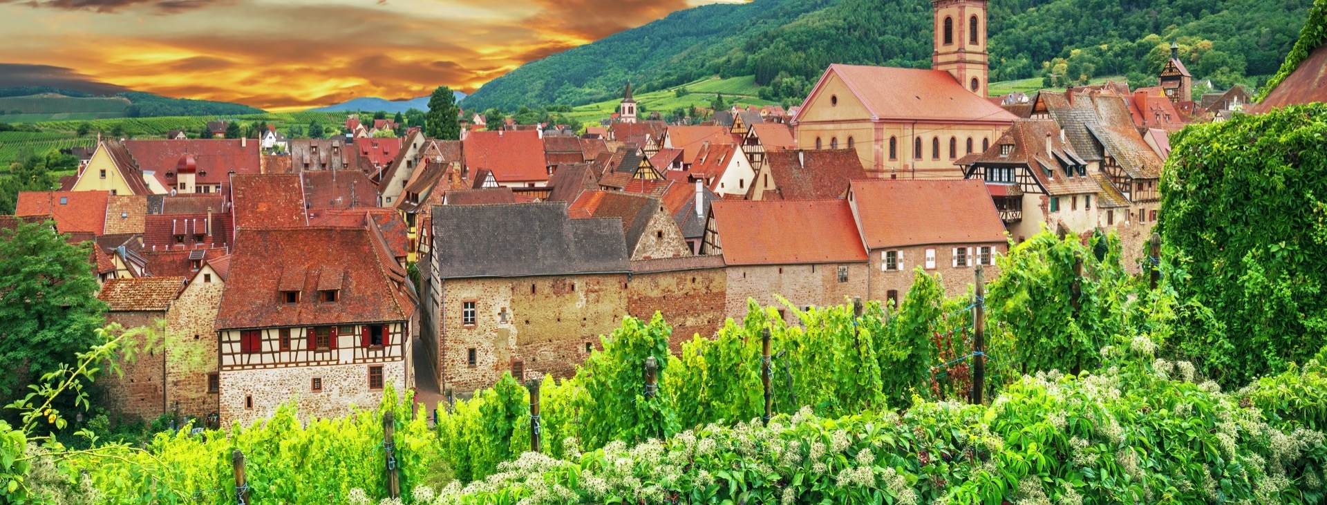 Ylbanda Alsace ( Colmar & Strasbourg)